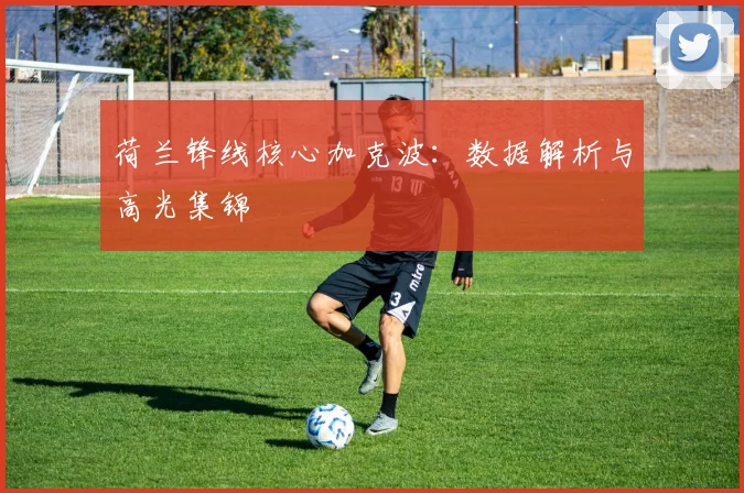 荷兰锋线核心加克波:数据解析与高光集锦
