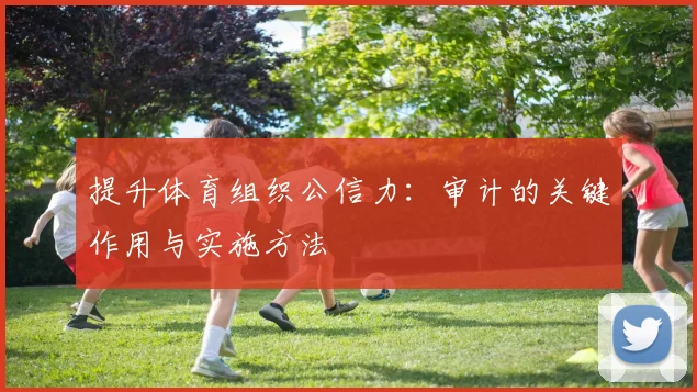 提升体育组织公信力：审计的关键作用与实施方法